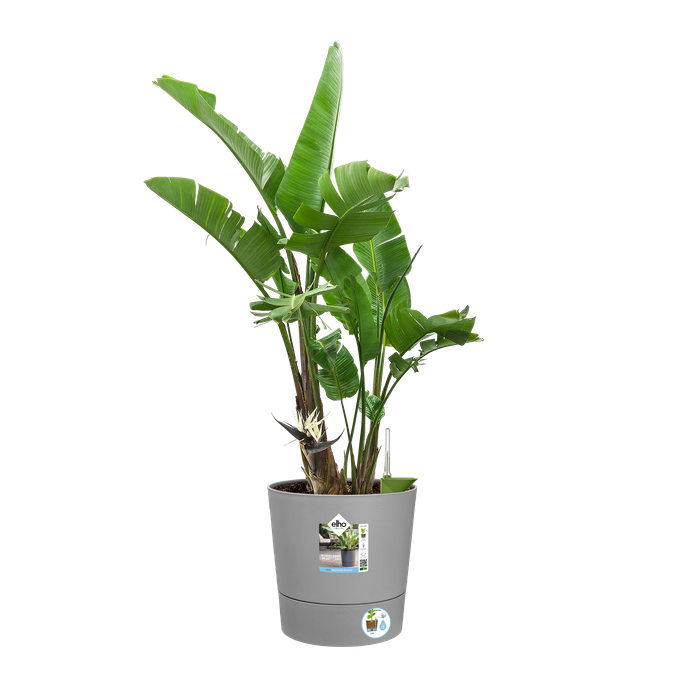 greensense aqua care rond 30cm licht beton